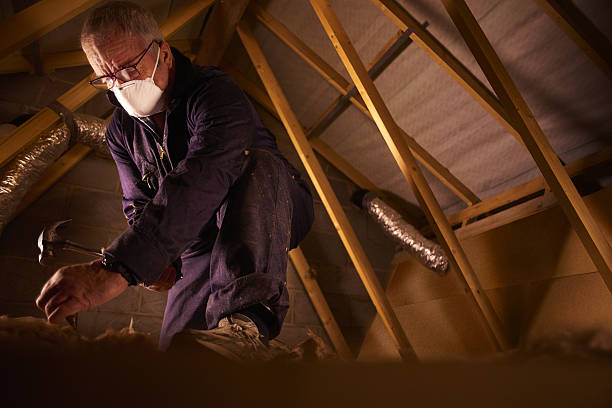 Best Commercial Insulation in Jonesville, LA